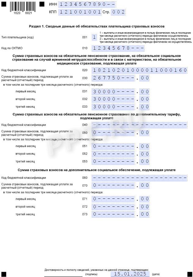 Образец РСВ за 4-й квартал 2024 года (стр. 2)