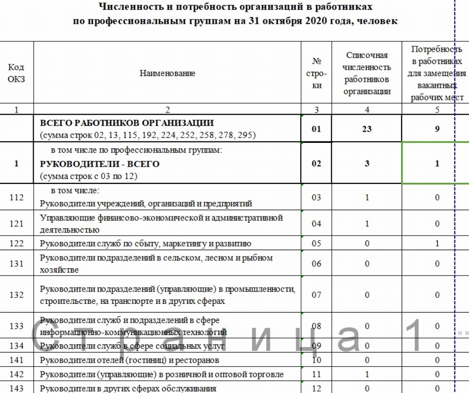 Отчет о профессиональной деятельности образец