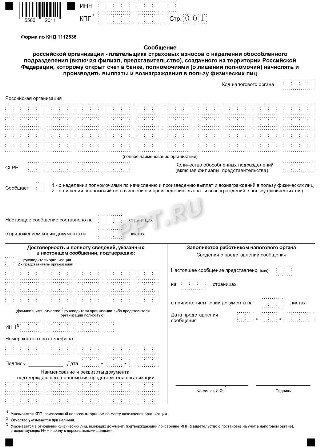 Форма сообщения об уплате взносов через обособленное подразделение