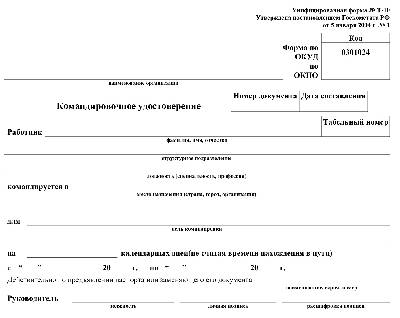 Решение бланк образец