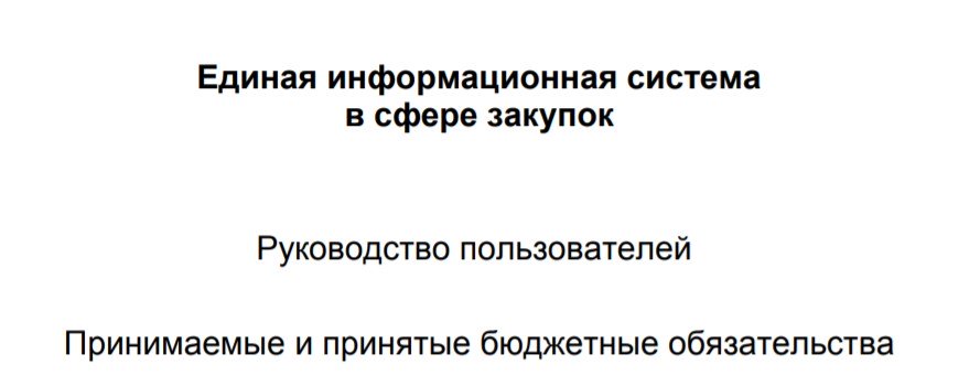 Руководство пользователя по принимаемым и принятым обязательствам