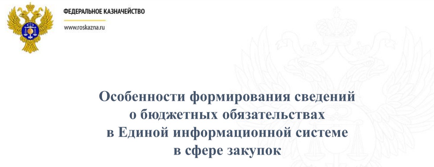 Особенности формирования сведений о бюджетных обязательствах в ЕИС