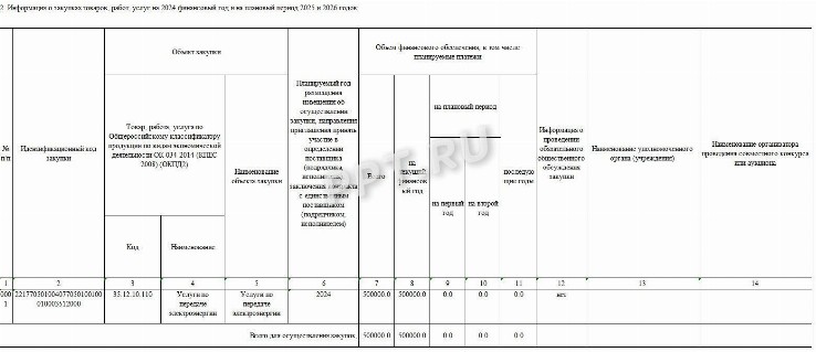 Образец плана-графика закупок на 2024 год | Срок размещения в ЕИС