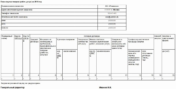 Образец нулевого плана закупок по 223 ФЗ в 2024 году