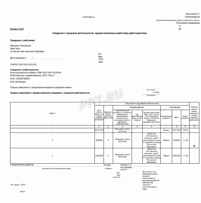 Стд пфр сведения о трудовой деятельности образец