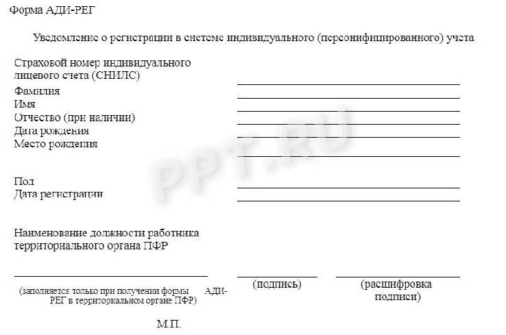 Перечень документов, необходимых при приеме на работу в 2024 году