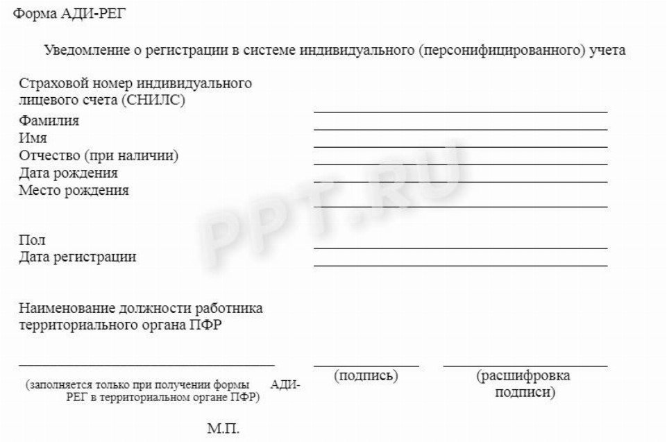 Перечень документов, необходимых при приеме на работу в 2024году