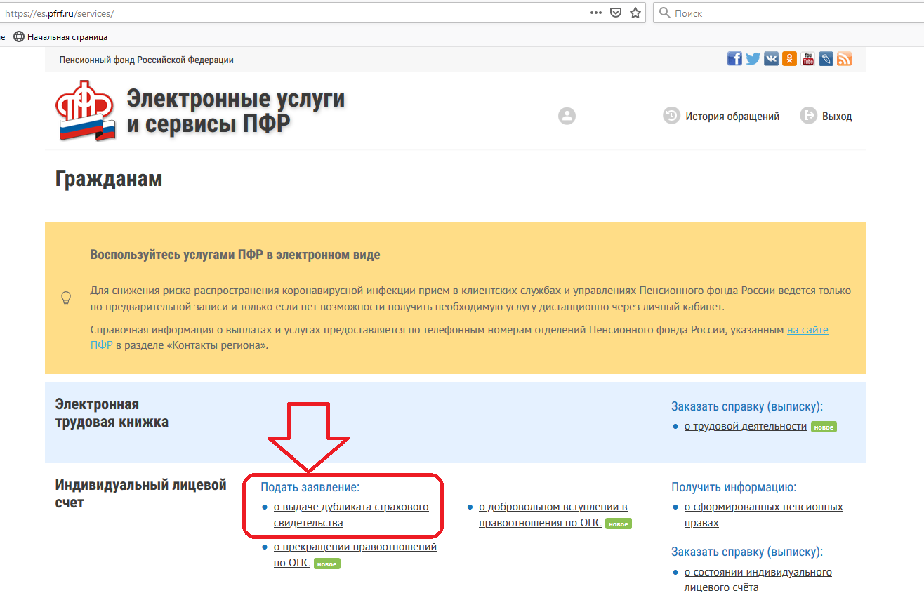 Получение сведений об ИЛС на сайте ПФ РФ Получение сведений об ИЛС на сайте ПФ РФ