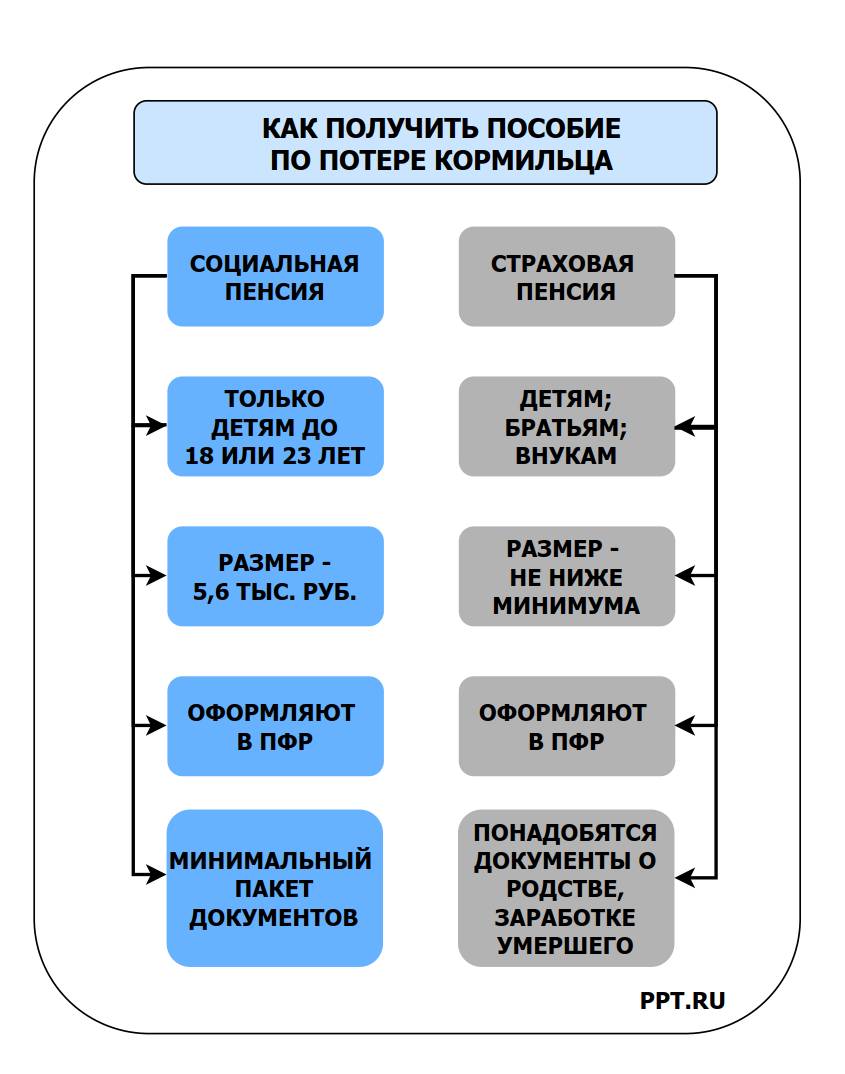 Кому полагается пособие на ребенка при потере кормильца в 2024 году