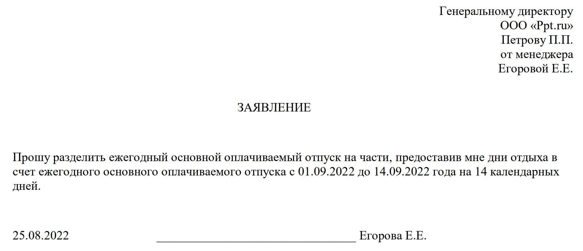 Заявление на отпуск директора ооо образец