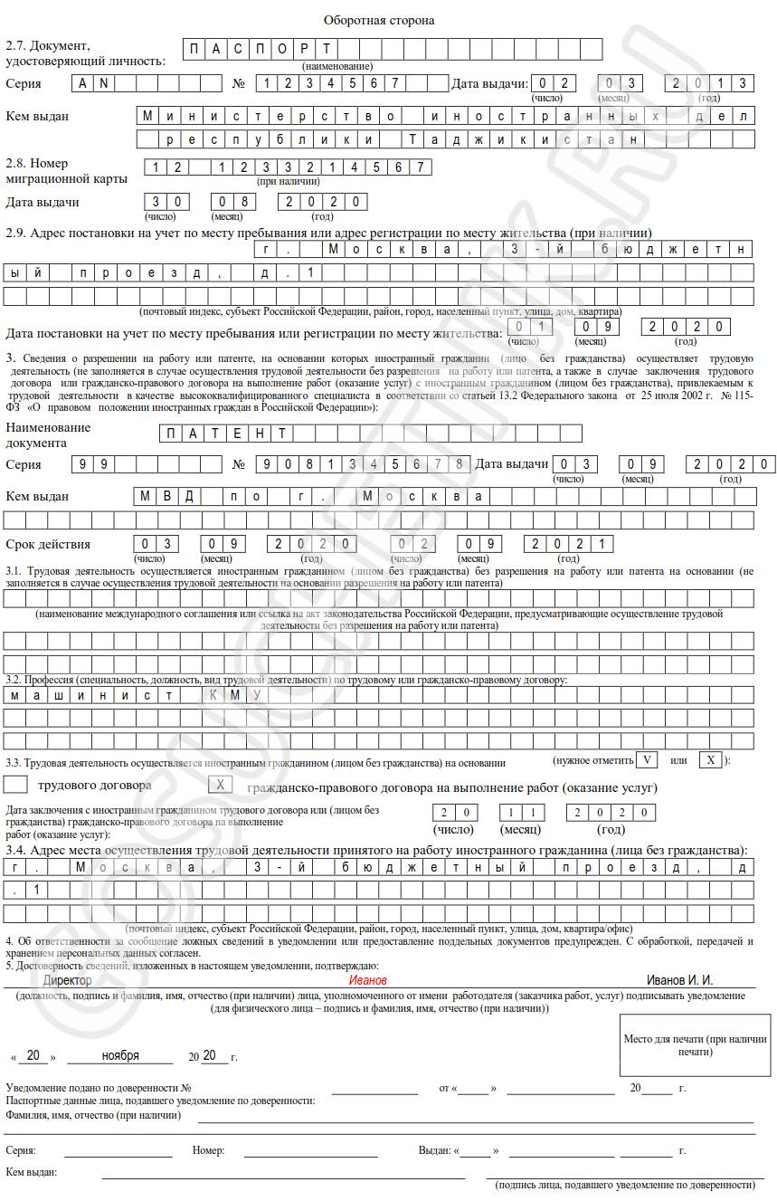 Образец договора с иностранным гражданином в 2024 году