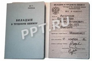 Картинка вкладыша