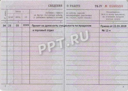 Вкладыш в трудовую книжку: образец оформления в 2024