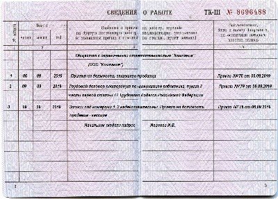 Исправление ошибки в трудовой книжке образец