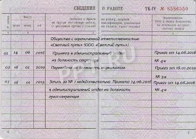 Трудовая книжка нового образца 2023