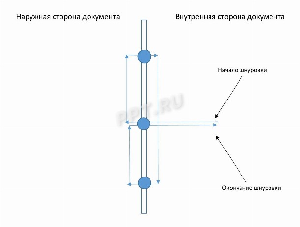 Образец, как правильно нумеровать страницы в журнале в 2024 году